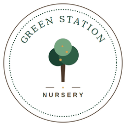 Green Station Nursery